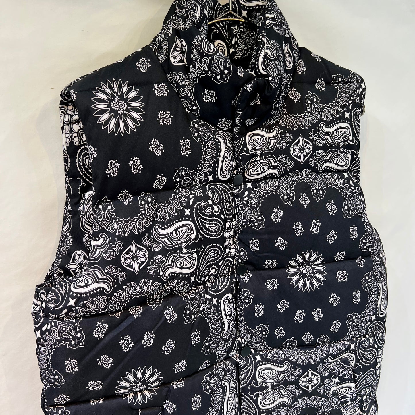 Paisley Pattern_Colorful Vest