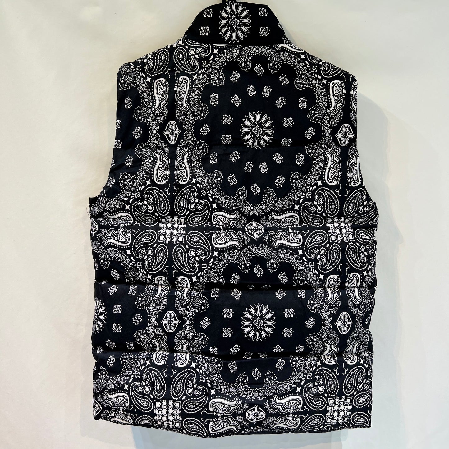 Paisley Pattern_Colorful Vest