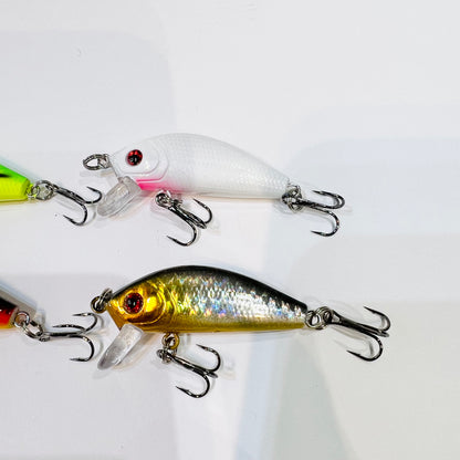 Lure_Minnow_4 set_Color 2